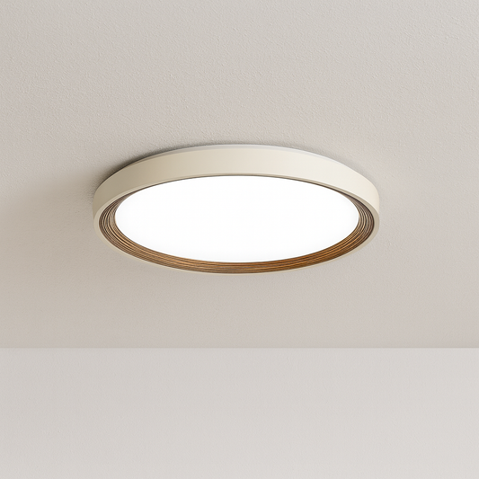Luminária Plafon Moderna Minimalista LED Metal Acrílico Apiran