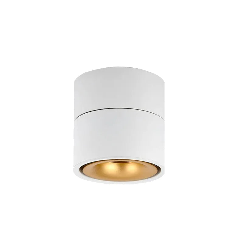 Luminária Spot Sobrepor Moderno Minimalista Direcionável LED Cippe - Branco e Dourado / Branco Quente (3000K) / 9W